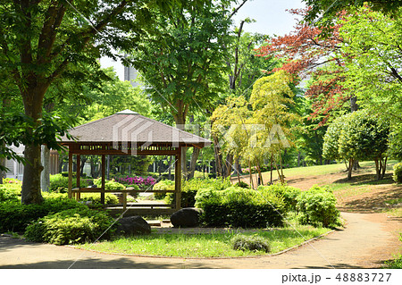 茨城県つくば市竹園　竹園公園 48883727