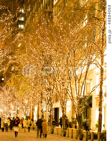 丸の内仲通りのイルミネーション 48884069