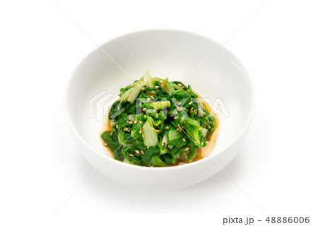 しんとり菜のお浸し 48886006