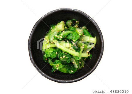 しんとり菜のお浸し 48886010