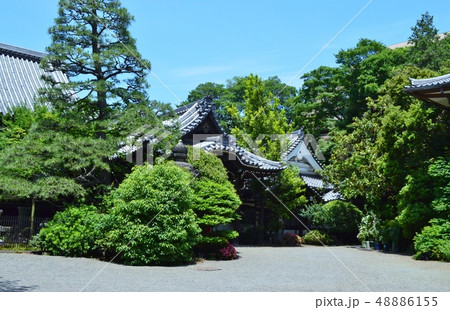 高輪の東禅寺 高輪の東禅寺 48886155