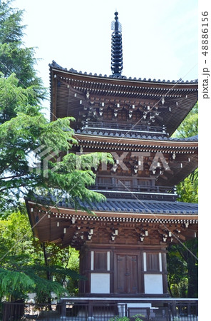 高輪の東禅寺 高輪の東禅寺 48886156