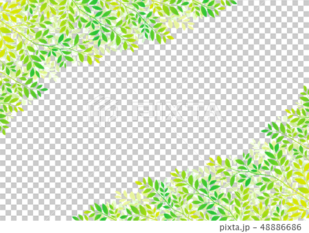 背景材料_Wakaba Aoba Fresh green 48886686