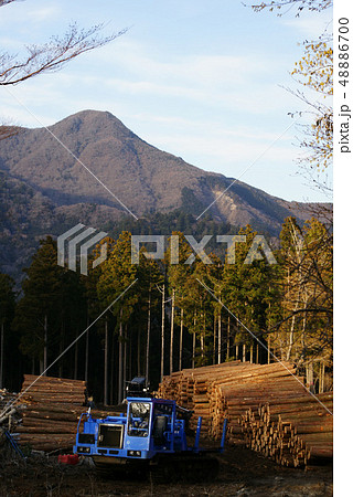 天城山麓の風景 天城山麓の風景 48886700