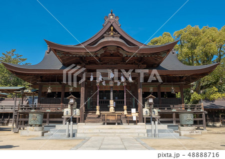 白鳥神社 白鳥神社 48888716