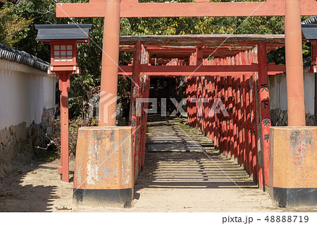 末社 白長大明神 末社 白長大明神 48888719