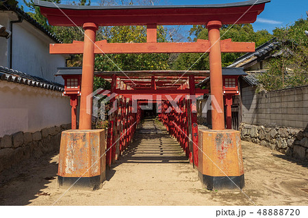 末社 白長大明神 正面から 末社 白長大明神 正面から 48888720