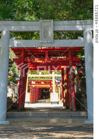 末社 白長大明神 外から ローアングル 末社 白長大明神 外から ローアングル 48888721