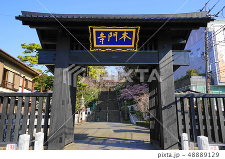 3月 池上13本門寺総門 3月 池上13本門寺総門 48889129