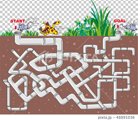 Maze, iron pipe 48891036