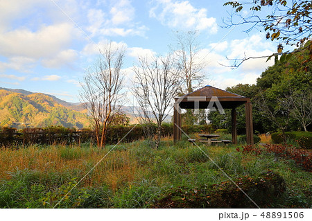 宮ヶ瀬湖　大棚沢広場　紅葉 48891506