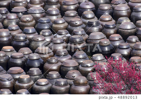 かめ つぼ 梅 48892013