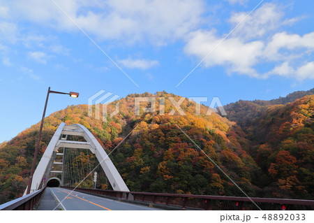 宮ヶ瀬湖　紅葉 48892033