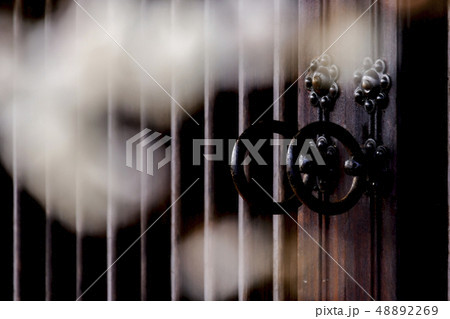 梅 梅の実農園 光陽市 48892269