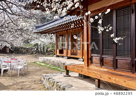 梅 梅の実農園 光陽市 48892295