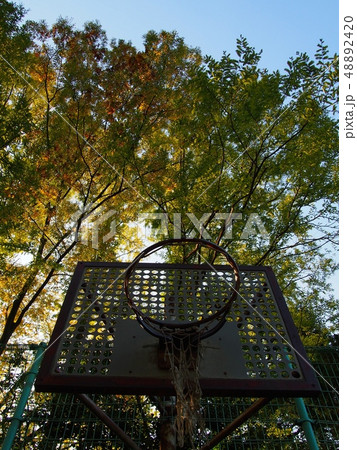 さびれたバスケットゴール 48892420