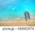 リゾートの海 48892970