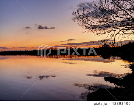 ウトナイ湖の夕景 ウトナイ湖の夕景 48893406