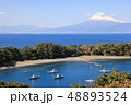 西伊豆戸田の御浜岬 48893524
