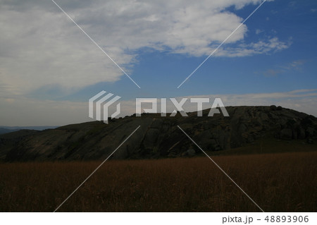 シベベロック 48893906