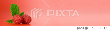 berry banner berry banner 48893917