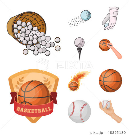 Vector design of ball and soccer sign. Set of ball and basketball stock vector illustration. 48895180
