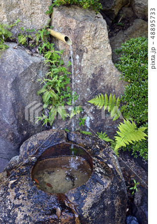 善水寺　善水元水 48895733