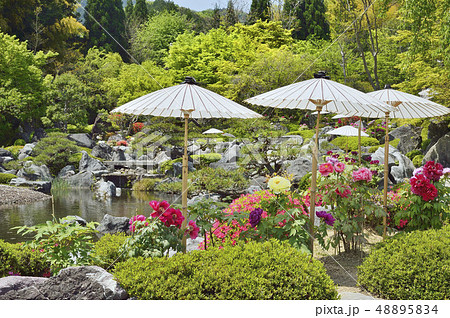 當麻寺　奥の院　浄土庭園　奈良 48895834