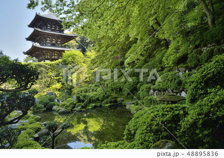 當麻寺　西南院庭園　国宝　西塔 48895836