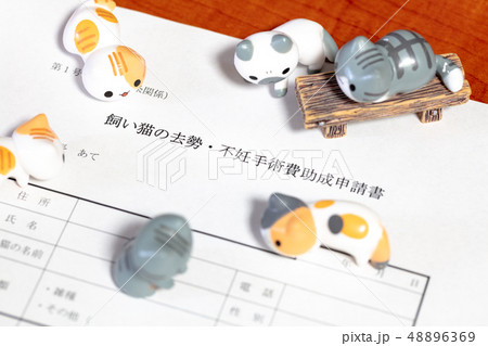 猫の去勢費助成申請書イメージ 48896369