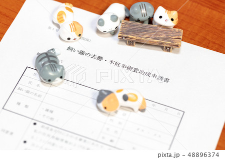 猫の去勢費助成申請書イメージ 猫の去勢費助成申請書イメージ 48896374