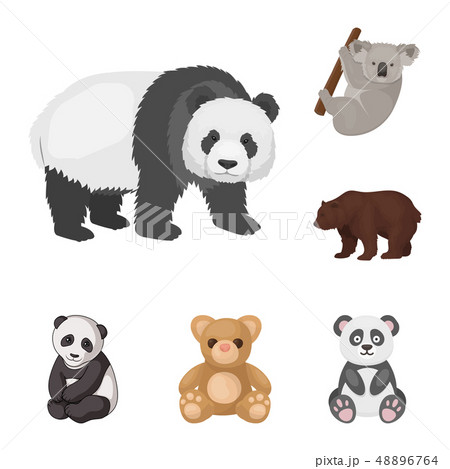 Vector illustration of sleep and brown logo. Collection of sleep and animal vector icon for stock 48896764
