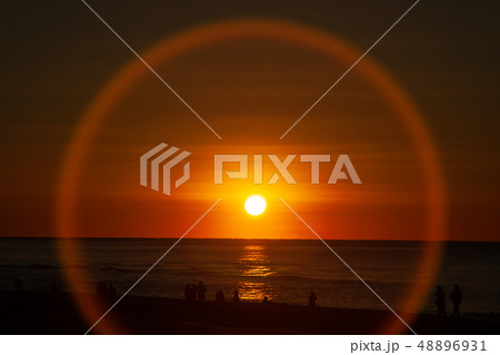 初日の出 48896931