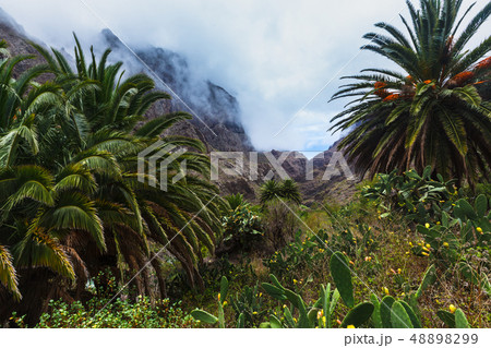 Fabulous Masca mountain gorge the most visited tourist attraction on Tenerife 48898299