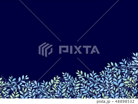 夜の幻想的な木の葉のイメージ 48898532