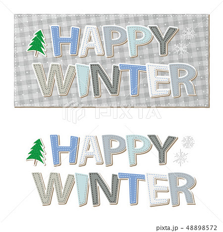 文字素材 アルファベット アップリケ ワッペン風 冬 WINTER 48898572
