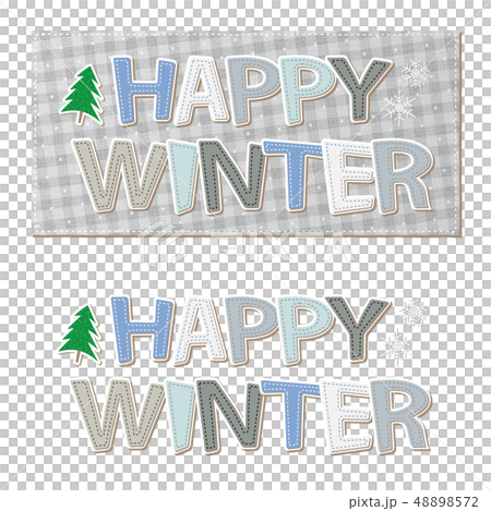 文字素材 アルファベット アップリケ ワッペン風 冬 WINTER 48898572