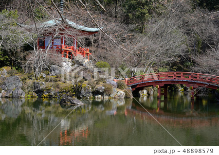 京都醍醐寺観音堂 48898579