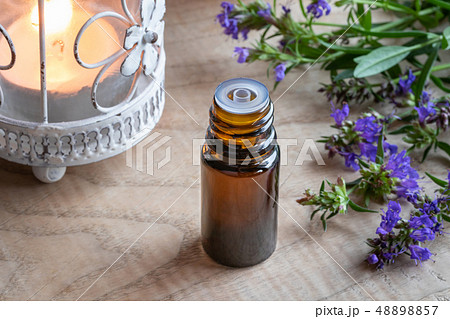 A bottle of hyssop essential oil with fresh hyssop 48898857