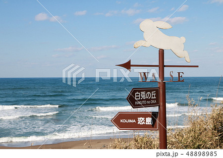 白兎海岸 48898985