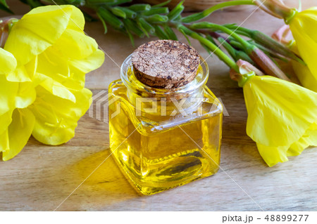 Evening primrose oil with fresh blooming plant Evening primrose oil with fresh blooming plant 48899277