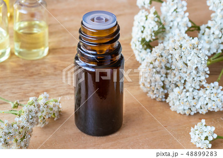 A bottle of yarrow essential oil 48899283