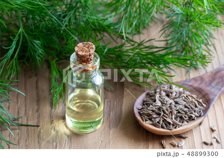 A bottle of dill seed oil with dill seeds A bottle of dill seed oil with dill seeds 48899300