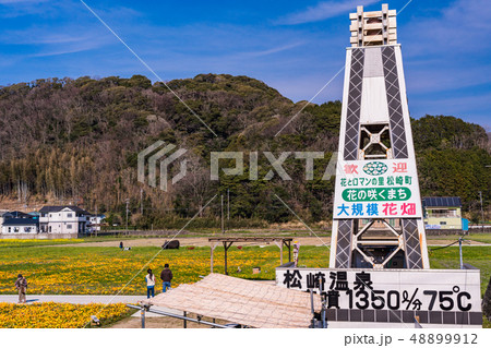 (静岡県)松崎町・田んぼをつかった花畑・温泉井戸 (静岡県)松崎町・田んぼをつかった花畑・温泉井戸 48899912