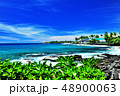 南国のビーチ 48900063
