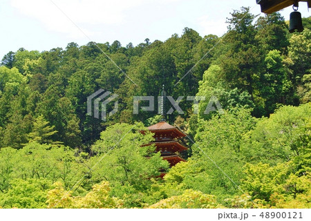 奈良長谷寺の五重塔 奈良長谷寺の五重塔 48900121