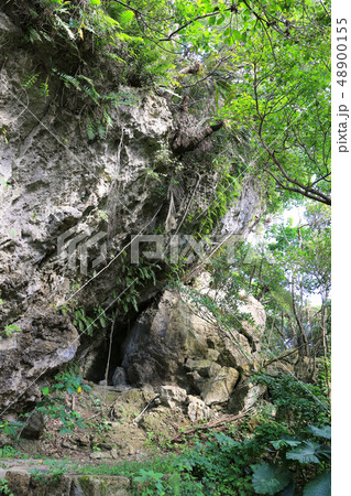 せーふぁーうたき１２ 48900155