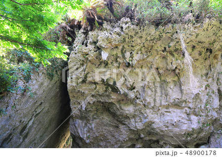 せーふぁーうたき33 せーふぁーうたき33 48900178