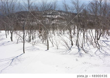 蔵王 不忘山 蔵王 不忘山 48900436