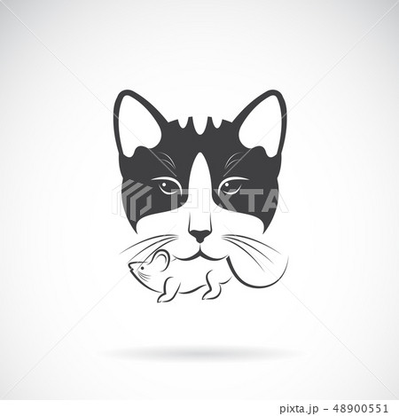 Vector of cat catches a rat in the mouth. Animal. 48900551